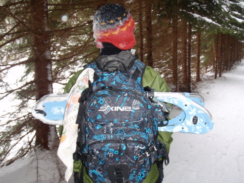 Pack with snowshoes in the snowboard slot